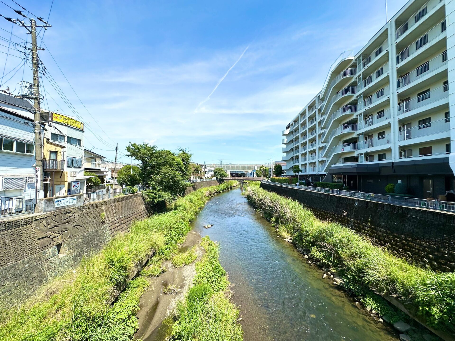 帷子川