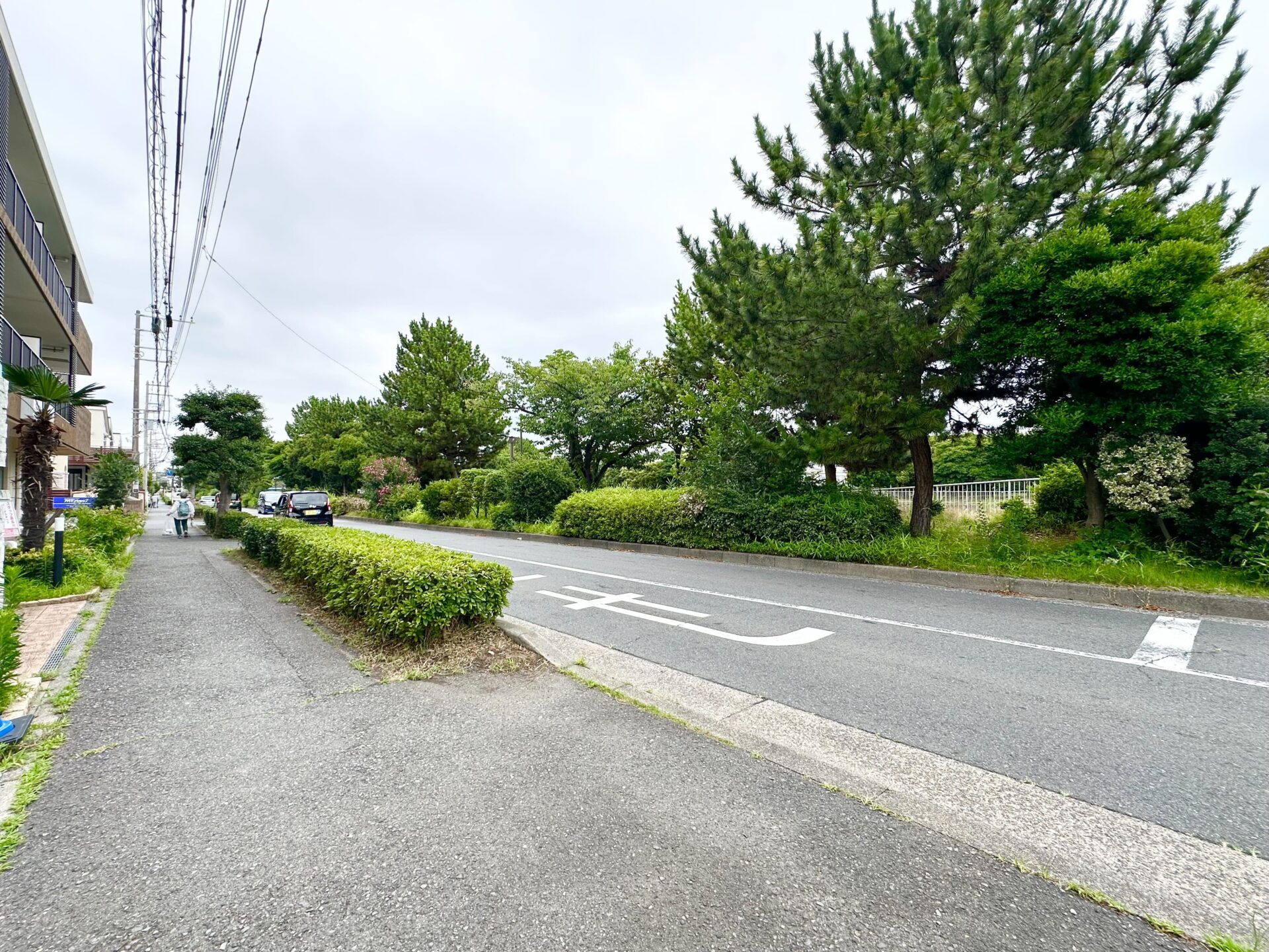 前面道路